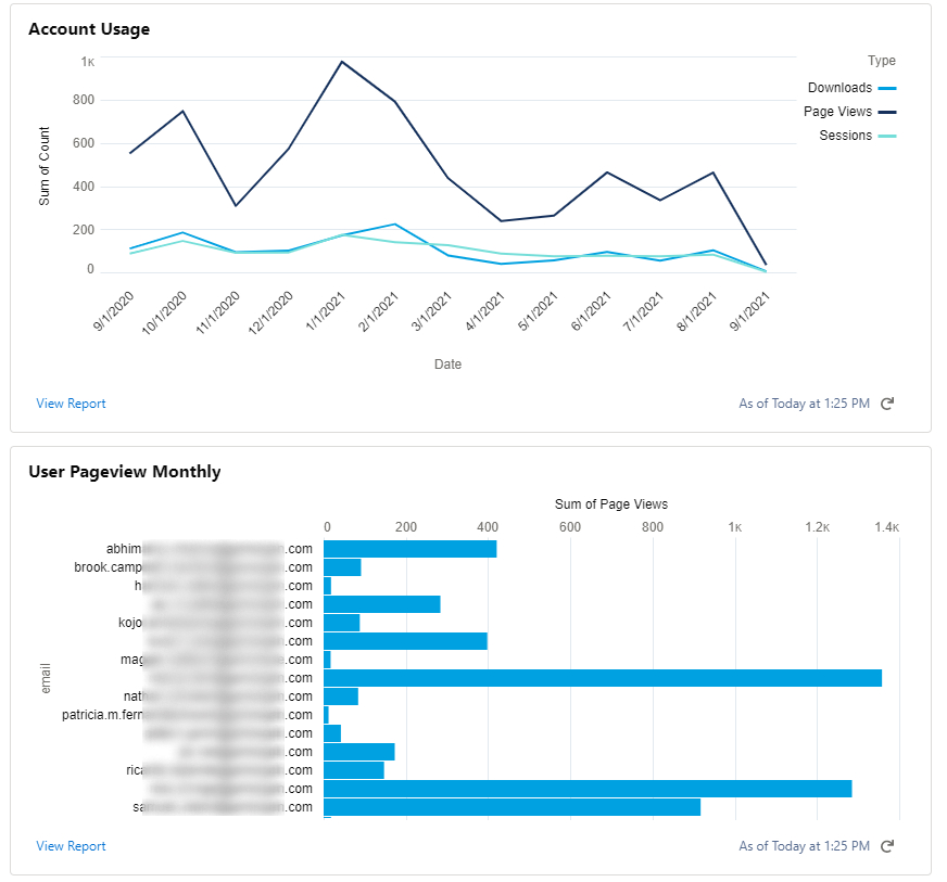 Dashboard displaying the account usage and page views per user